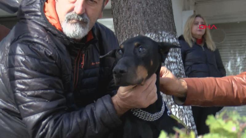 'BOBO' katarakt ameliyatı oldu
