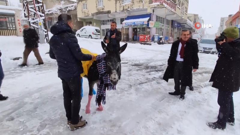 Donmaktan kurtardıkları eşeği giydirdiler