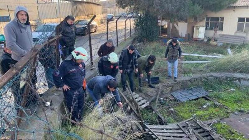 Kuyuya düşen köpeği itfaiye ekipleri kurtardı