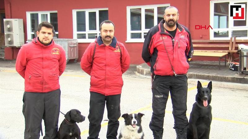 Sokak köpeği eğitilerek görev köpeği oldu