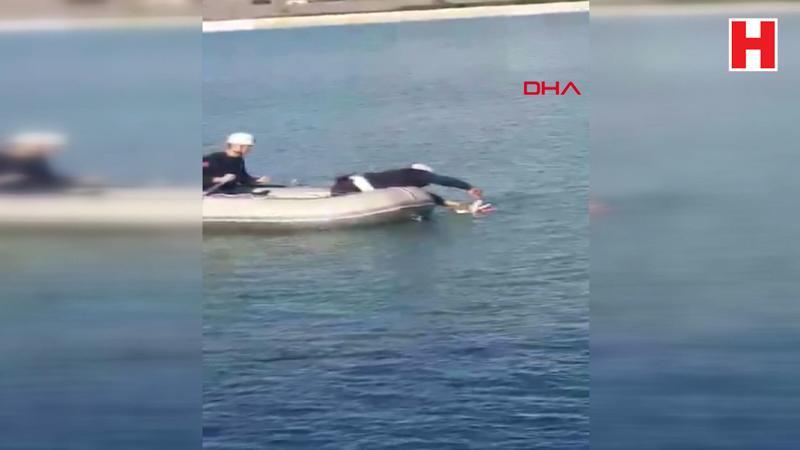 Misinaya dolanan martı kurtarıldı