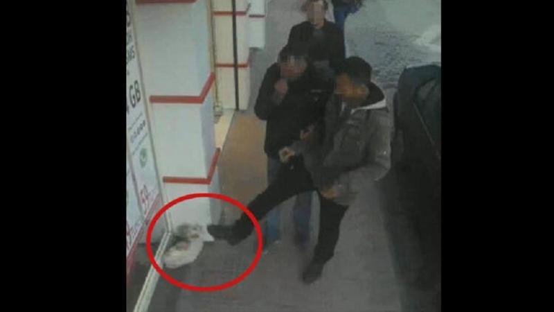 Kaldırımdaki kediye tekme attı