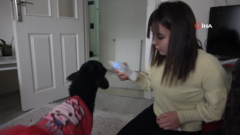 Annesinin reddettiği kuzuya bebek gibi bakıyor