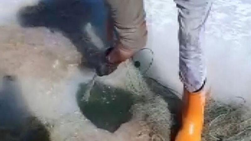 Baraj donunca 6 kilometrelik kaçak ağ ortaya çıktı