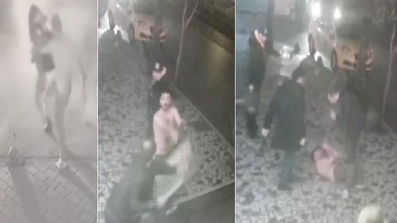 Fatih'te kadına şiddet uygulayan adama dayak kamerada