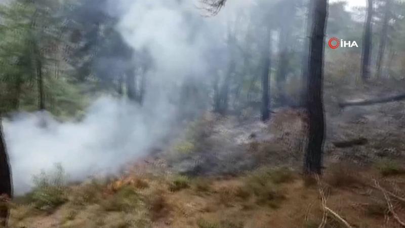 Son dakika! Balıkesir'in Dursunbey ilçesinde orman yangını
