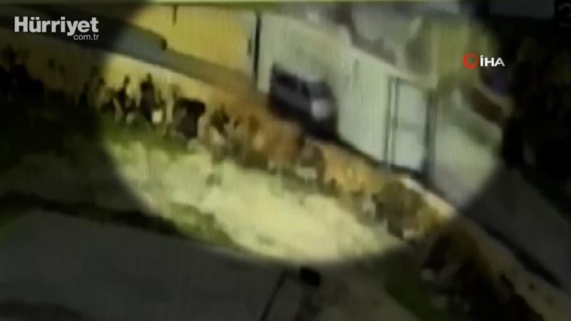 Yoldan çıkan tırın altında kalmaktan son anda kurtuldu