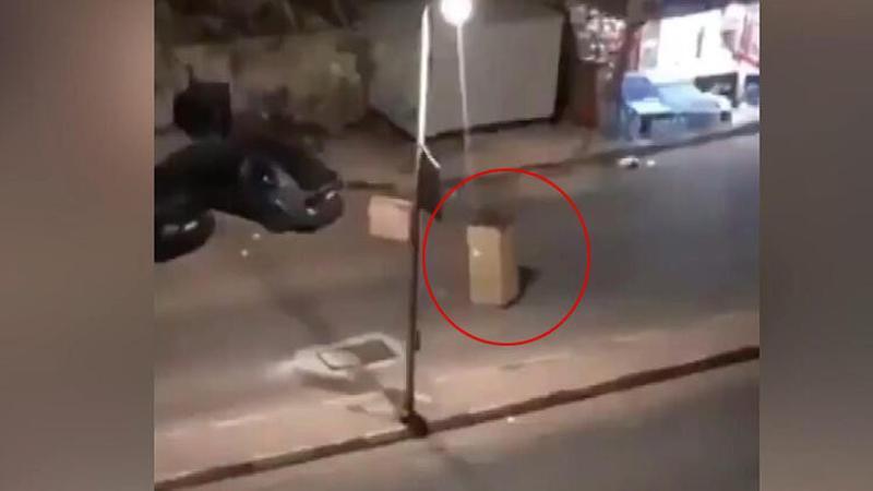 Karantinadan kaçmak için karton kılığına girdi