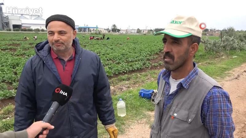 Drone gören tarım işçileri şaşkına döndü
