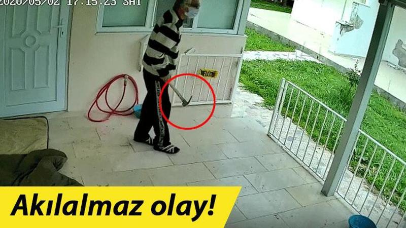 Kediye önce keser attı, sonra zehirlemeye çalıştı