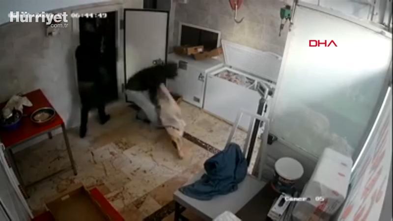 Kartal'daki et hırsızları kamerada
