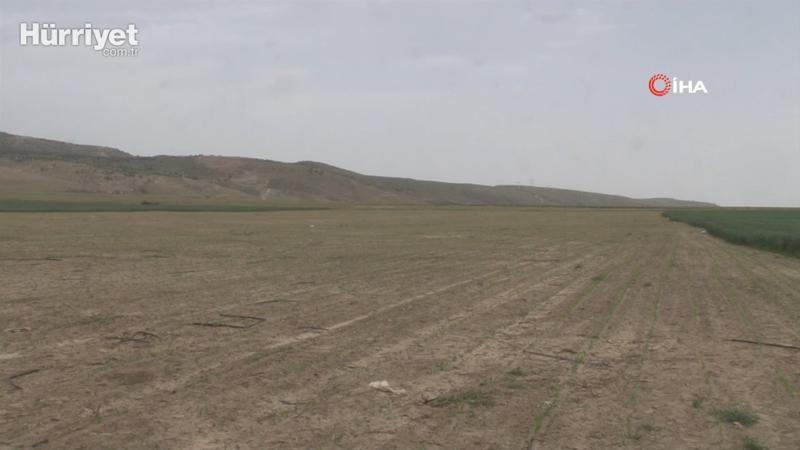 Korona virüs arsa, tarla ve bahçe fiyatlarını yüzde 20 artırdı