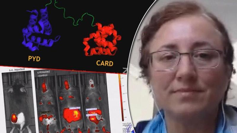 Prof. Dr. Nesrin Özören'den heyecanlandıran açıklama: Yakında başlıyoruz