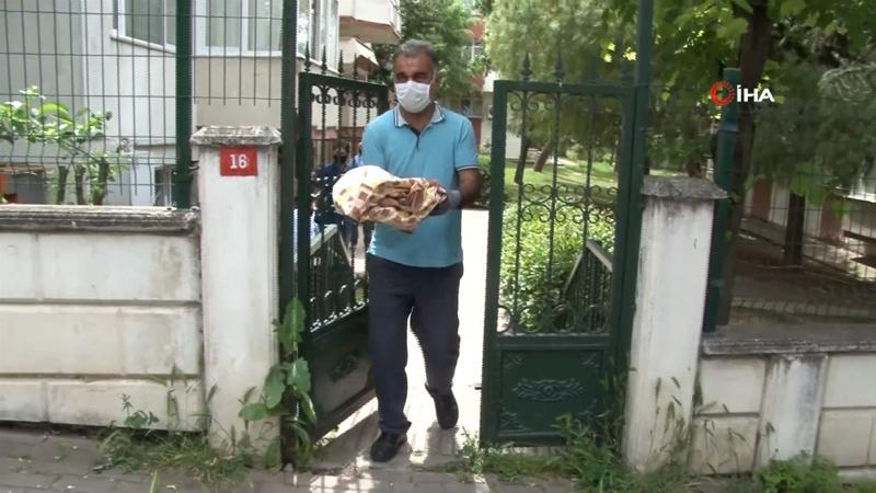 Büyükçekmece'de sitenin bahçesinde yeni doğmuş bebek cesedi bulundu