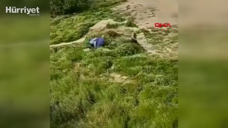 Sultangazi'de polisi görünce otların arasına saklandılar