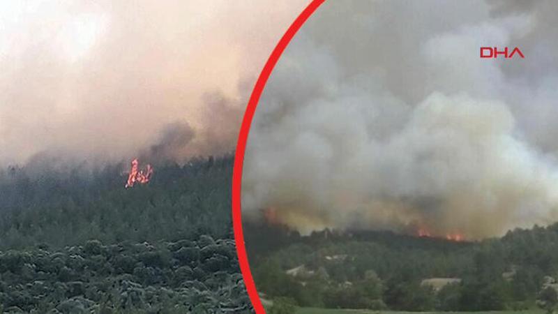 Son dakika... Muğla ve Kütahya'da orman yangını!