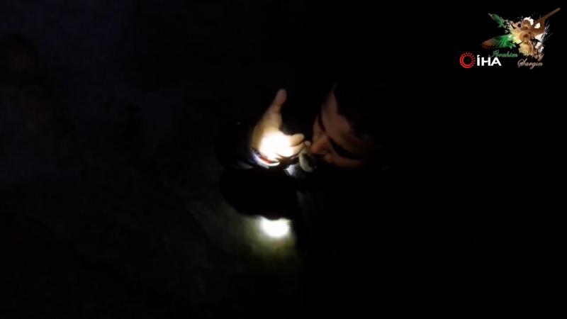 Bursalı maceracı yarasalarla dolu mağaraya girip eline aldığı yarasayı öptü.