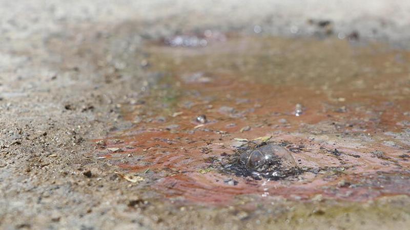 Denizli'de termal su asfaltı deldi