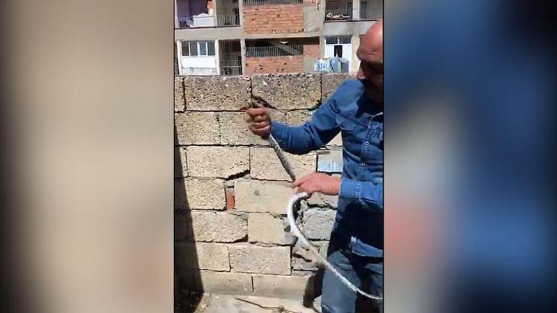 Eve giren 1,5 metrelik yılan paniğe neden oldu
