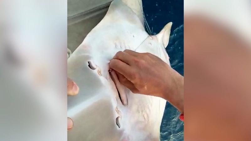 Dünya Çevre Günü’nde bunu yaptılar! Dernek başkanı isyan etti
