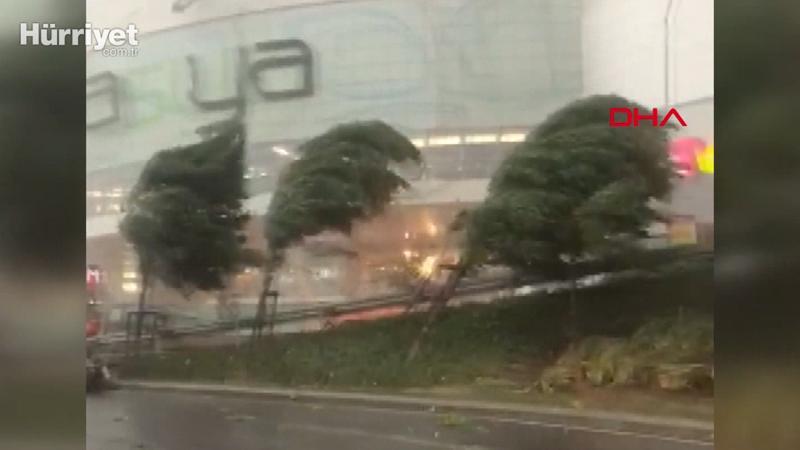 Üsküdar'da şiddetli rüzgar ağaçları böyle uçurdu