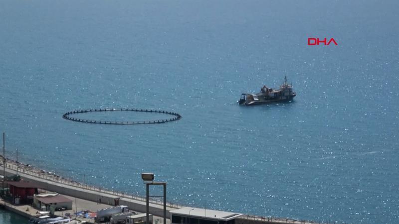 Alanya'da orkinos kirliliği iddiası