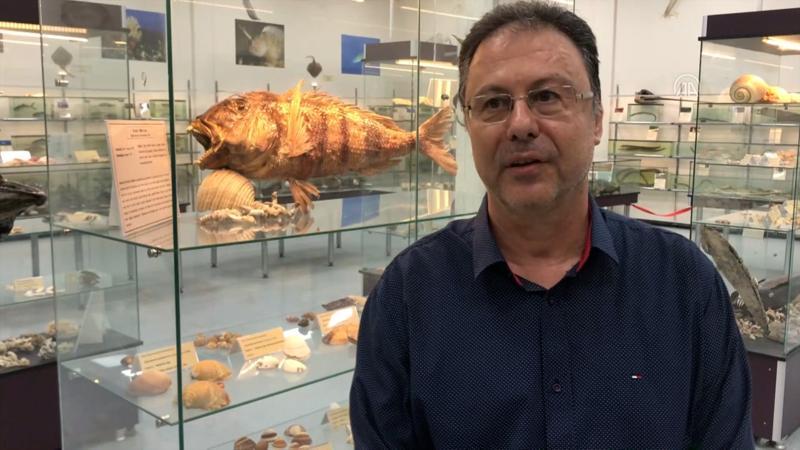 Prof. Dr. Tevfik Tansel Tanrıkul: "Somon balığının Kovid-19 taşıyıcısı olduğuna dair bilimsel kanıt yok"