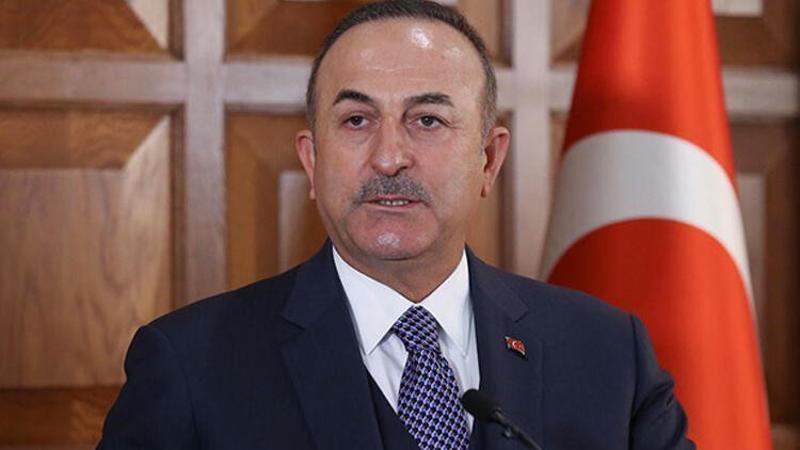 Dışişleri Bakanı Mevlüt Çavuşoğlu, Almanya İçişleri Bakanı Seehofer ile bir araya geldi