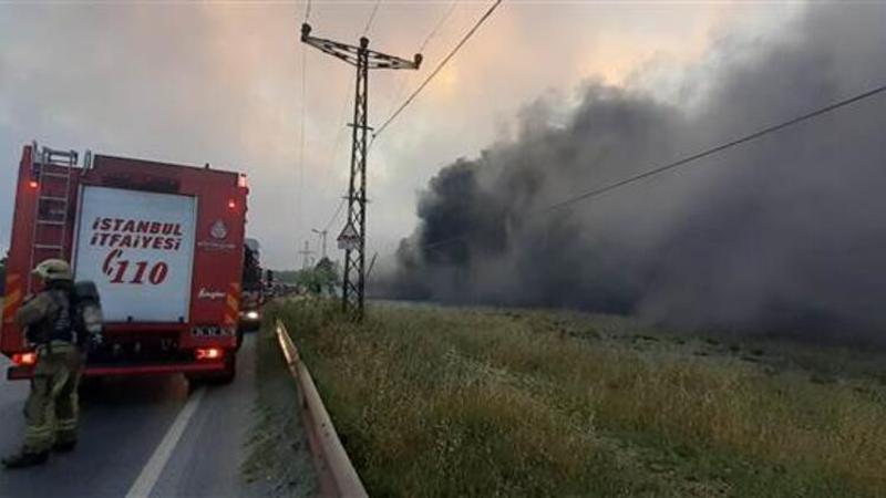 İzmir'de orman yangını