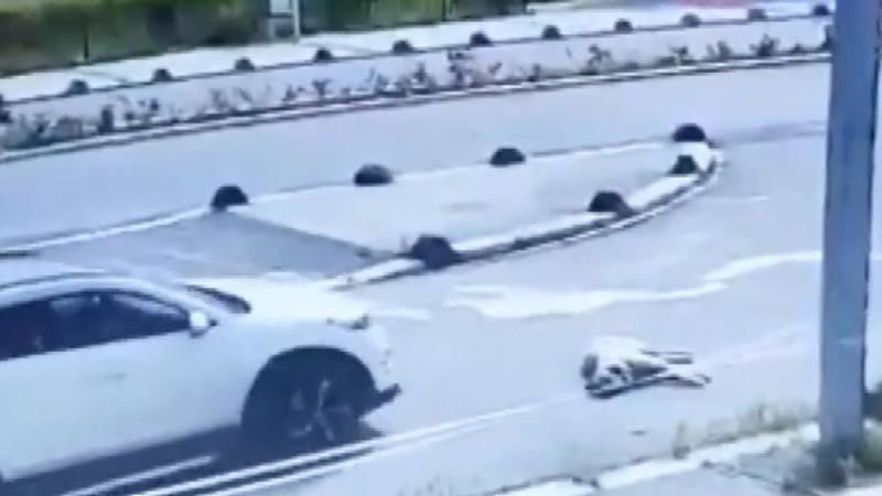 Bu nasıl vicdansızlık! Yola uzanan köpeği ezdi