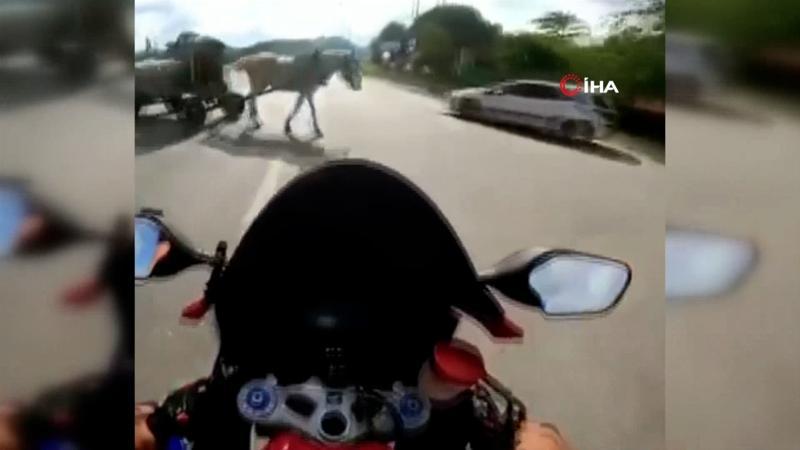 Şile Otoyolu’nda feci kaza! Motosiklet sürücüsü ata çarptı