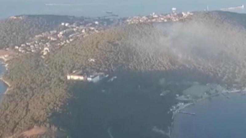 Three detained over Heybeliada forest fire