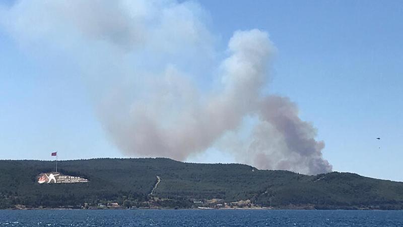 Son dakika haberi: Çanakkale'de orman yangını