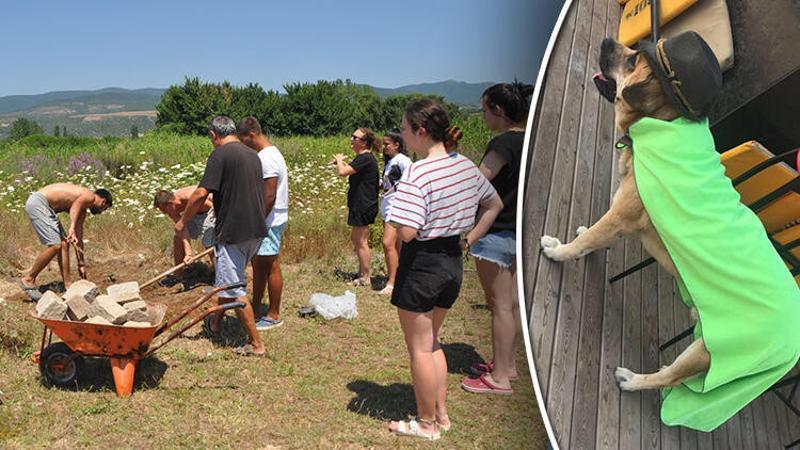 Emekli albayın öldürdüğü öne sürülen köpek, kumsalda gömülü bulundu