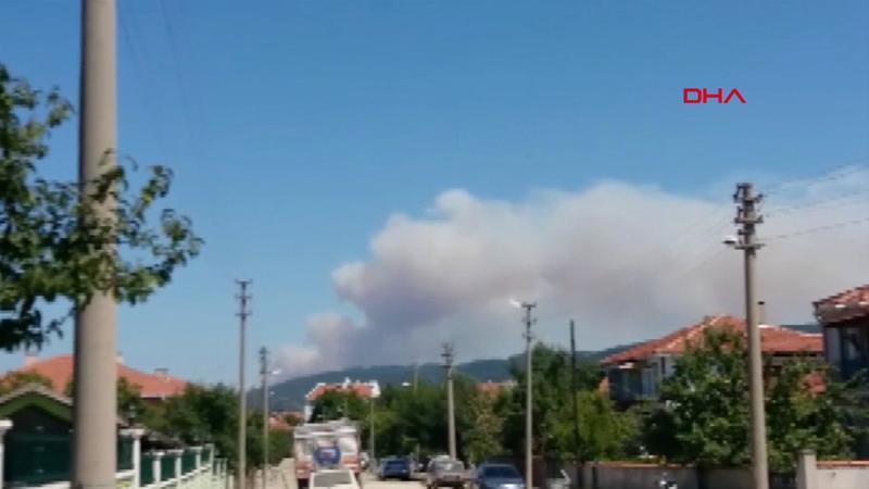 Son dakika... Çanakkale'nin Yenice ilçesinde orman yangını çıktı