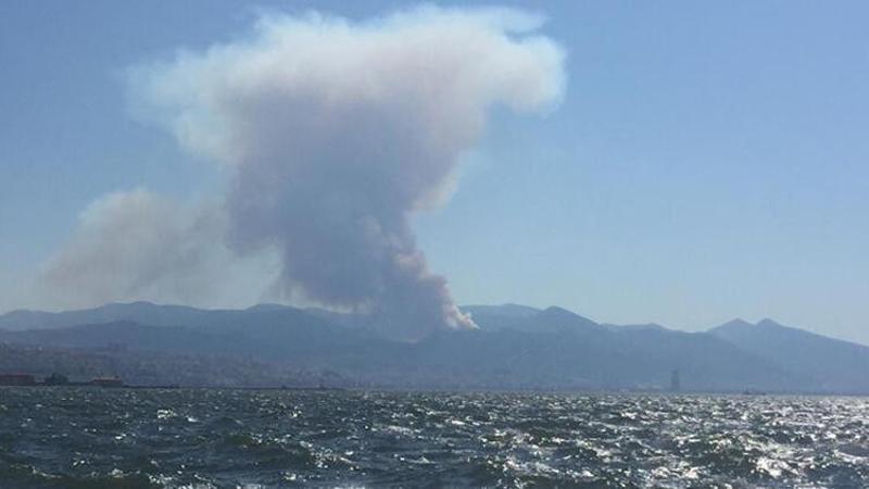 Son dakika haberi: İzmir'de orman yangını paniği