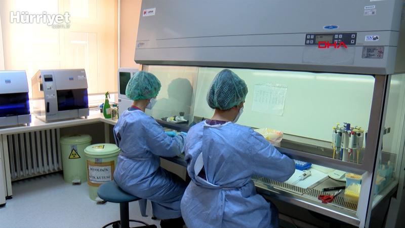 Koronavirüsün Türkiye'de mutasyona uğrayıp uğramadığının belirlenmesi için çalışma başlatıldı