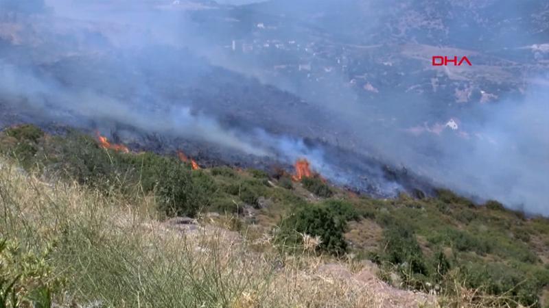 Son dakika... İzmir Bornova'da otluk ve makilik alanda yangın