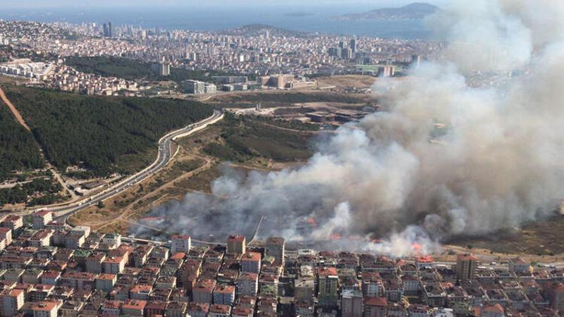 Son dakika haber... Maltepe'de otluk alanda yangın