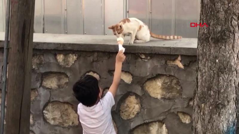 Dondurmasını kediyle böyle paylaştı