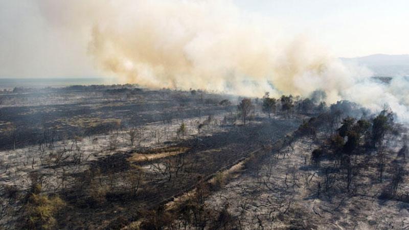 Son dakika: Kızılırmak Kuş Cenneti'nde yangın