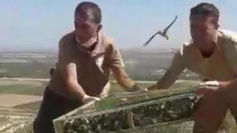 Saka kuşlarını Suriye'ye kaçırırken yakalanan kişiye 1 buçuk milyon lira ceza