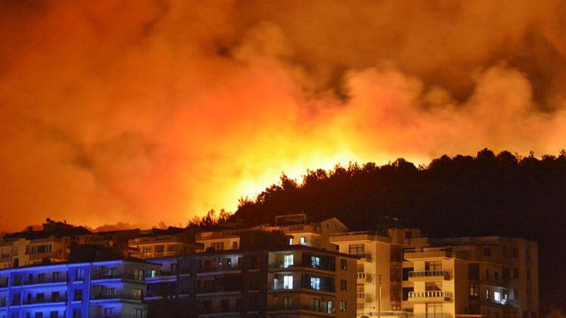 İzmir'in Dikili ilçesinde zeytinlik ve çamlık alanda yangın çıktı