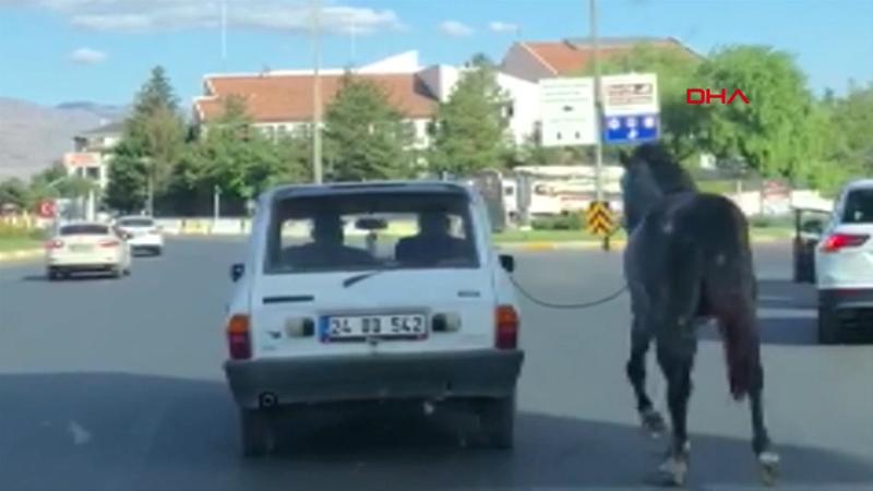 Tepki çeken görüntü! Otomobile bağladıkları atı kilometrelerce koşturdular