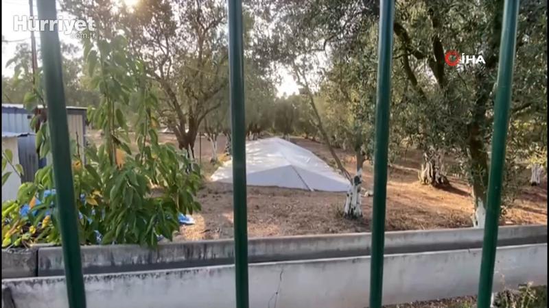 Bursa'da zeytin tarlasında toplu mezar anlamına gelen Çatkı Mezar bulundu