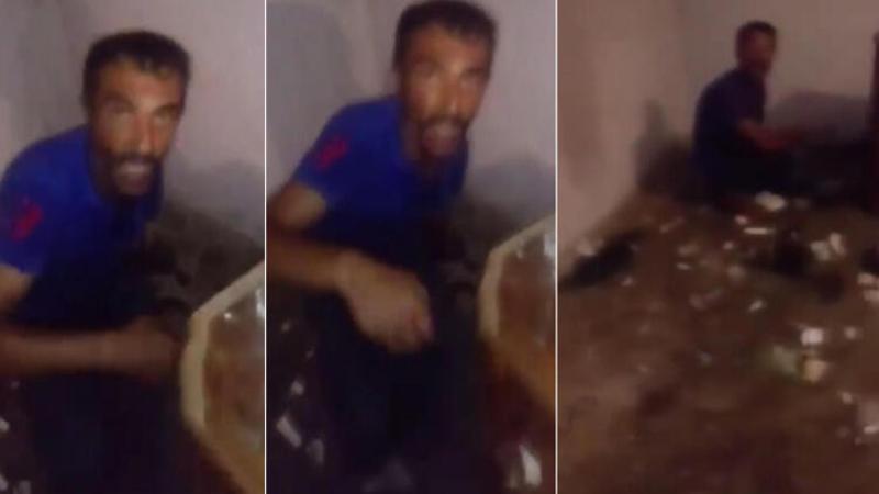 Adana'da, kedilere işkence görüntülerine tepki