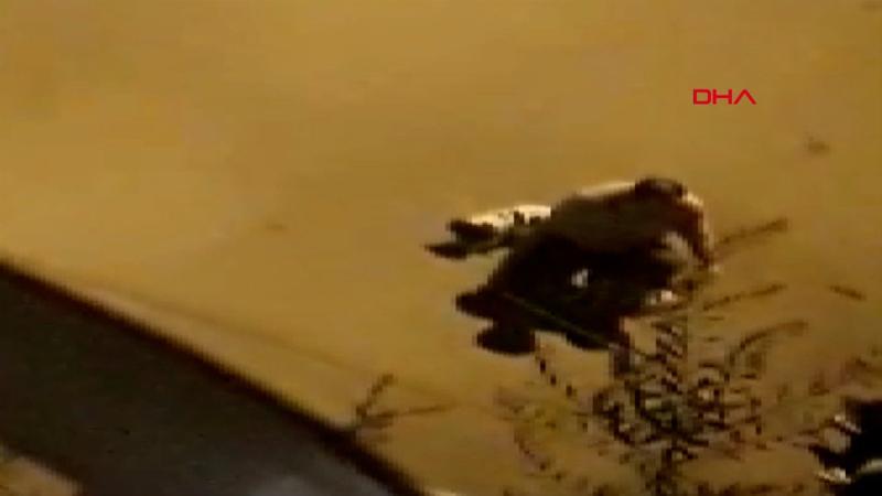 Köpeklere sopayla şiddet tepki çekti