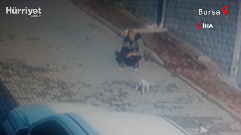 Köpeği önce sevdi, sonra kaçırdı! O anlar kamerada