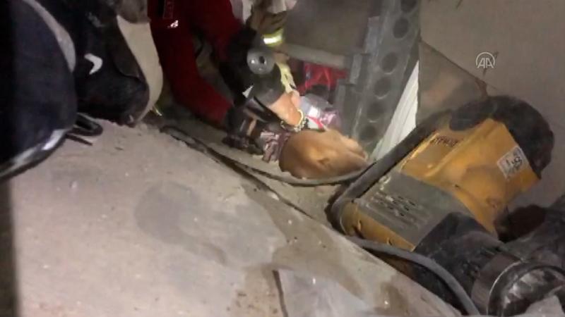 Depremde enkazda kalan İnci Okan'ın köpeği de kurtarıldı