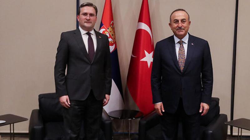 Bakan Çavuşoğlu, Sırp mevkidaşı Selakoviç ile bir araya geldi